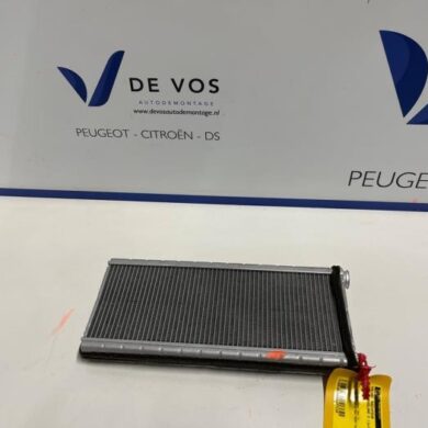 Opel Grandland X 1.2 Turbo 12V Kachel Radiateur 2019 9821299980