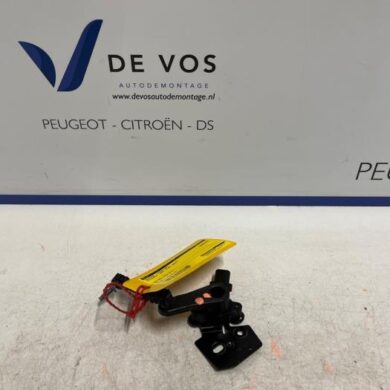 Peugeot 308 1.2 PureTech Hybrid 136 Sensor (other) 2024 9826684080