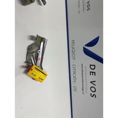 Peugeot 3008  Bonnet Hinge 2021 9814189880