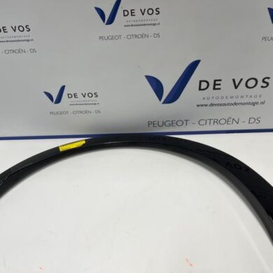 Opel Grandland X 1.2 Turbo 12V Hybrid Spatbord Lijst 2023 984079211T