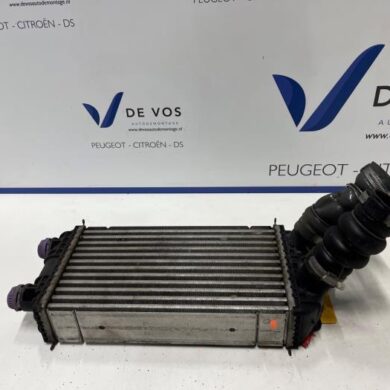 Peugeot 208  Intercooler HNS-HN05 2023 9824742280
