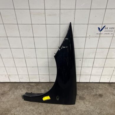 Citroen C6 3.0 HDiF V6 24V Scherm links-voor 2011 7840Q1