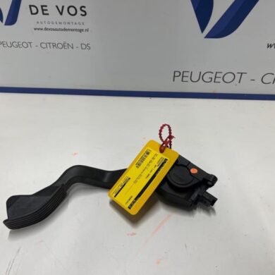 Peugeot 307 2.0 16V Gaspedaal 2004 1601K7