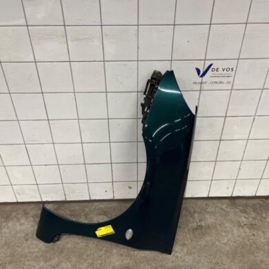 Peugeot 307 2.0 16V Scherm links-voor 2004 7840K8