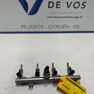 Peugeot RCZ 1.6 16V THP Injector (petrol injection) 5FU-5F03 2011 1984H5-198553