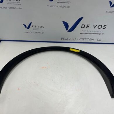 Citroen C5-X  Wheel arch strip 2023 YL01956280
