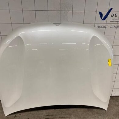Citroen C5-X  Bonnet 2023 YL01887580