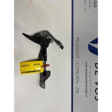 DS Automobiles DS7 Crossback 1.6 16V PureTech 225 Bonnet Hinge 2018 9829653580