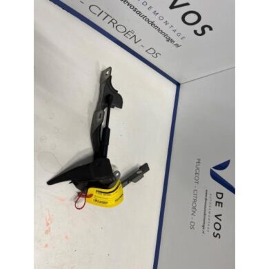 DS Automobiles DS7 Crossback 1.6 16V PureTech 225 Bonnet Hinge 2018 9829653680