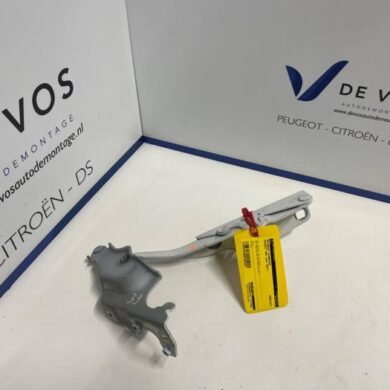 Peugeot 508 1.5 BlueHDi 130 Bonnet Hinge 2021 9813071980