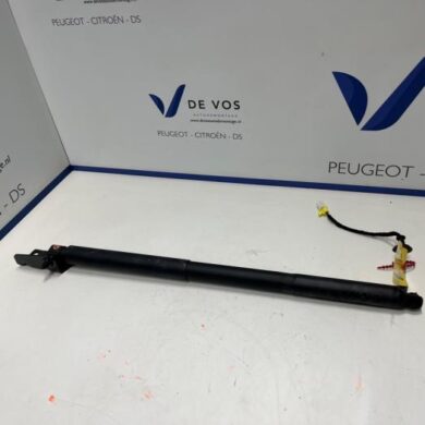 Peugeot 408 1.6 16V HYbrid 225 Gasdemper links-achter 2023 9841612980