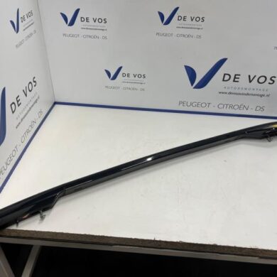 Citroen C3 Aircross 1.2 e-THP PureTech 110 Roof rail, left 2021 YQ000496XY