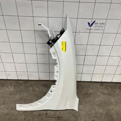 Citroen C5-X  Front wing, left 2023 YL01891280