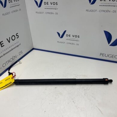 Peugeot 508  Gasdemper links-achter 2022 9832948280-9835642680