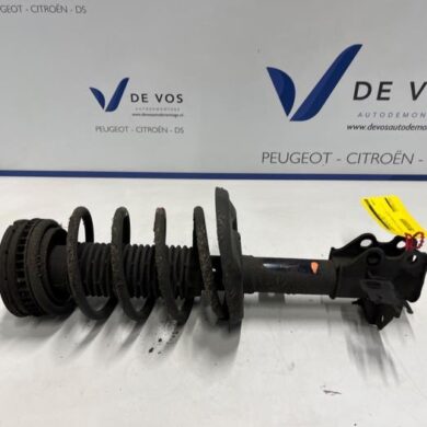 Peugeot 508 1.6 BlueHDI 120 Front shock absorber rod, left 2016 5208Y9