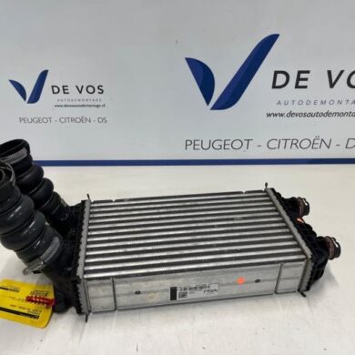 DS Automobiles DS3 Crossback 1.2 12V PureTech 130 Intercooler HNS 2020 9825341380