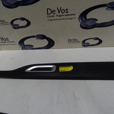 Citroen C4 Cactus  Portierlijst 2019 98234156YS