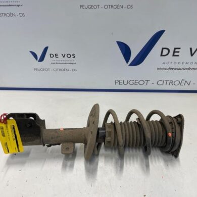 Citroen Berlingo  Front shock absorber rod, left 2018 9820364080