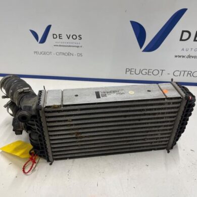 Opel Corsa 1.2 Turbo 12V 100 Intercooler HNK-HN05 2019 9824742280