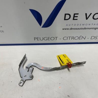 Peugeot Expert  Motorkap Scharnier 2022 9808654480-9823131780