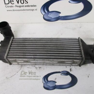 Peugeot 807 2.2 HDiF 16V Intercooler 4HW 2006 0384G0