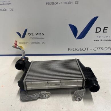 Peugeot Expert  Intercooler AHX-AH01 2022 9806562180