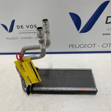 Peugeot Expert  Kachel Radiateur 2022 1609730580-9821299980