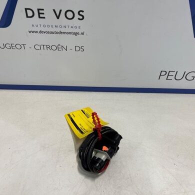 Peugeot Expert  Antenne (sonstige) 2025 9809260380