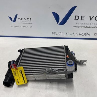 Peugeot Expert 2.0 Blue HDi 150 16V Intercooler AHX-AH01 2022 9806562180