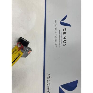 Peugeot 3008 1.2 12V Hybrid 136 Spannrolle Multiriemen HN09 2024 1688198480