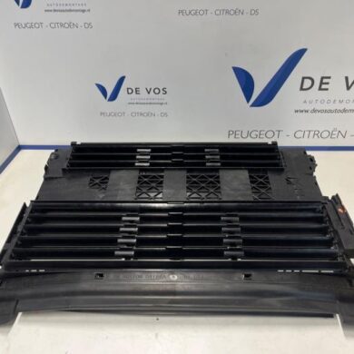 DS Automobiles DS4 1.2 12V Hybrid 136 Luft Leitung 2024 9858759680