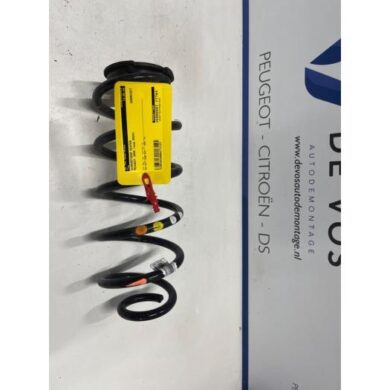 Peugeot 3008 1.2 12V Hybrid 136 Schroefveer achter 2024 9860677880