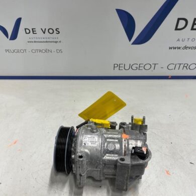 Peugeot Expert  Aircopomp AH01 2025 9844156280