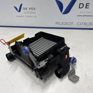 DS Automobiles DS4 1.2 12V Hybrid 136 Ladeluftkühler HN09 2024 9675627980