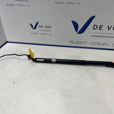 Peugeot 3008 1.2 12V Hybrid 136 Gasdemper links-achter 2024 9843298380
