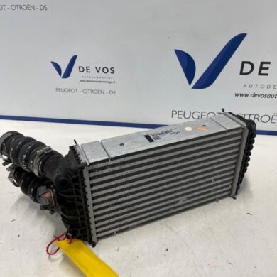 Citroen C4 1.2 PureTech 130 12V Intercooler HNS 2020 9825341380