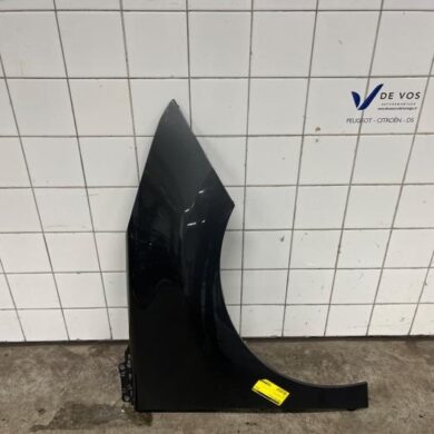 Peugeot 5008 1.6 VTI 16V Scherm rechts-voor 2011 7841AF