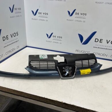 Peugeot 206 1.6 16V Grille 2006 7804H4
