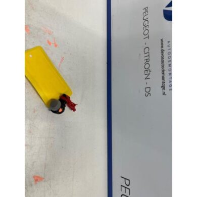 Peugeot 208 e-208 50 kWh PDC Sensor 2021 1633559680