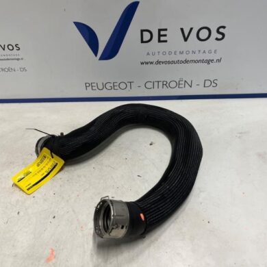 DS Automobiles DS4 1.6 16V E-Tense 225 Intercooler Slang 5G07 2024 9838283380