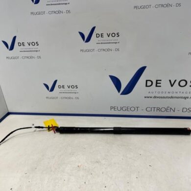 Citroen C4 Picasso  Rear gas strut, left 2019 9812130180
