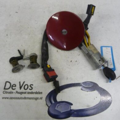 Peugeot 206 1.9 D Set of cylinder locks (complete) 2000 4162NQ