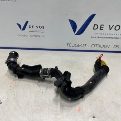 Peugeot Expert 2.0 Blue HDi 145 16V Turboschlauch AH01 2025 9675758280
