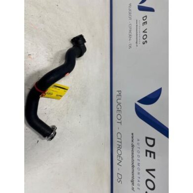 Peugeot Expert 2.0 Blue HDi 145 16V Kühlerschlauch 2025 9809929080