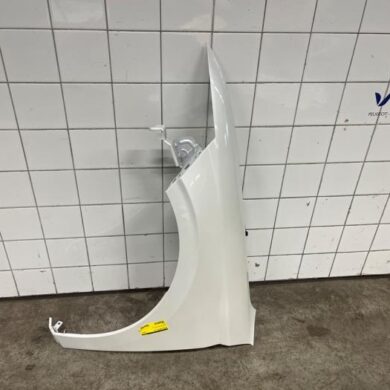 DS Automobiles DS4 1.6 16V E-Tense 225 Kotflügel links vorne 2024 9834264080-9830767380