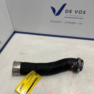 DS Automobiles DS4 1.6 16V E-Tense 225 Intercooler Slang 5G07 2024 9838283180