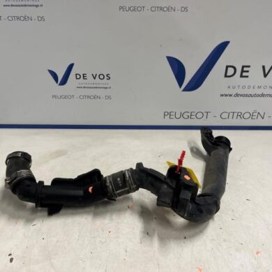 Citroen C4 Picasso  Turboslang AHX-AH01 2019 9675758280