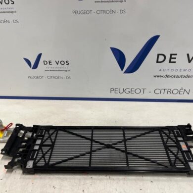 DS Automobiles DS4 1.6 16V E-Tense 225 Kühler 5G07 2024