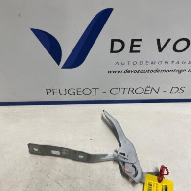Citroen C4 ë-C4 54 kWh Motorkap Scharnier 2023 9831199480