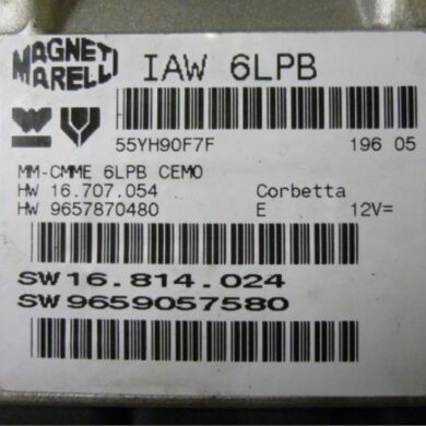 Peugeot 307 2.0 16V Engine management computer RFJ 2005 1939HV-1943H8-1943A5